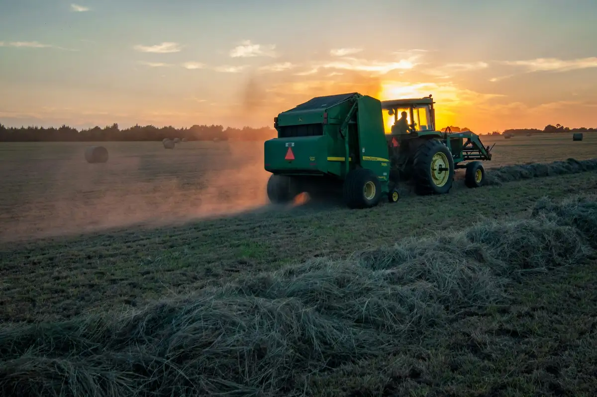 Open farmland at golden hour
